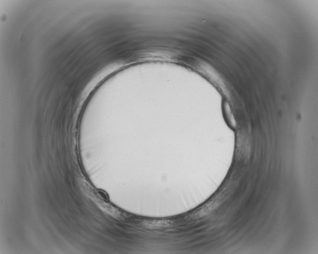 X0000086111435200704202255