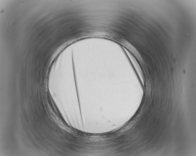 X0000086111436200704202255