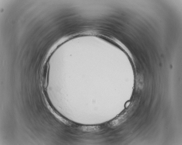 X0000086111437200704202255