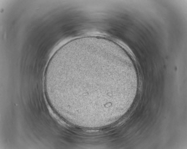 X0000086111439200704202255