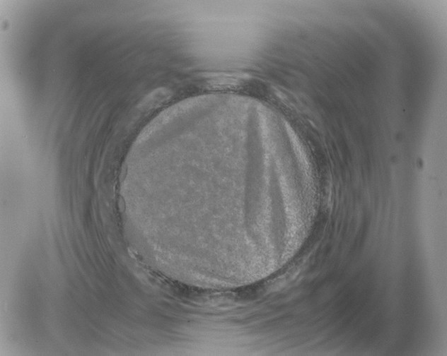 X0000086111441200704202254