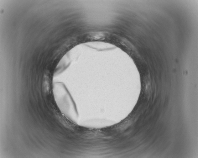 X0000086111442200704202254