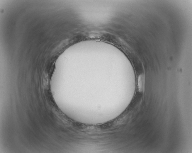 X0000086111443200704202254