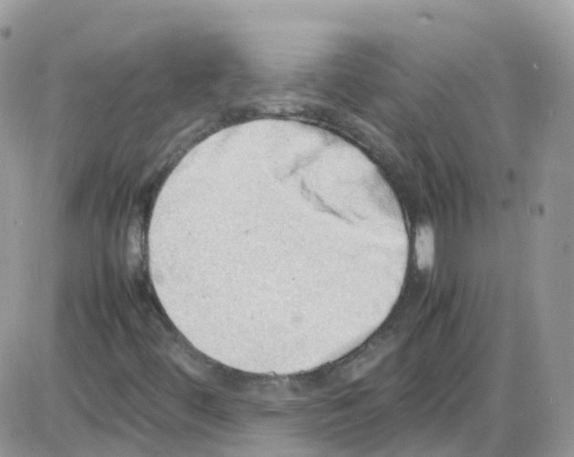 X0000086111444200704202254