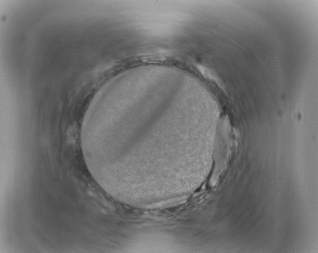 X0000086111445200704202254