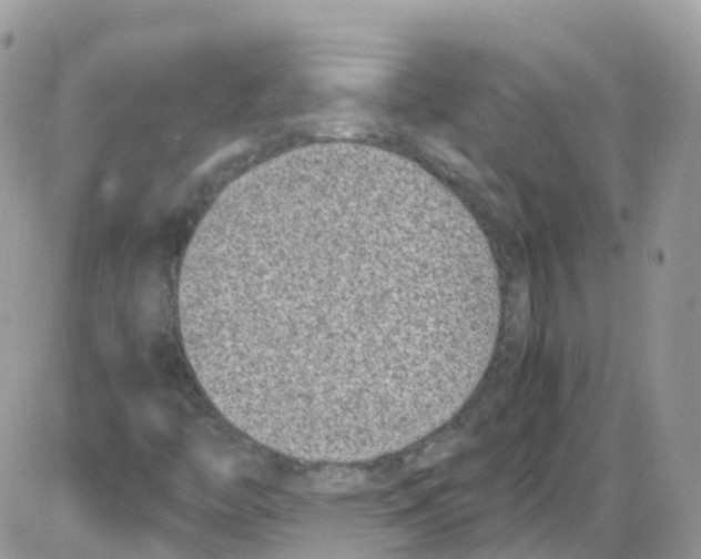 X0000086111446200704202254