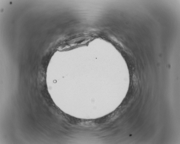 X0000086111447200704202254