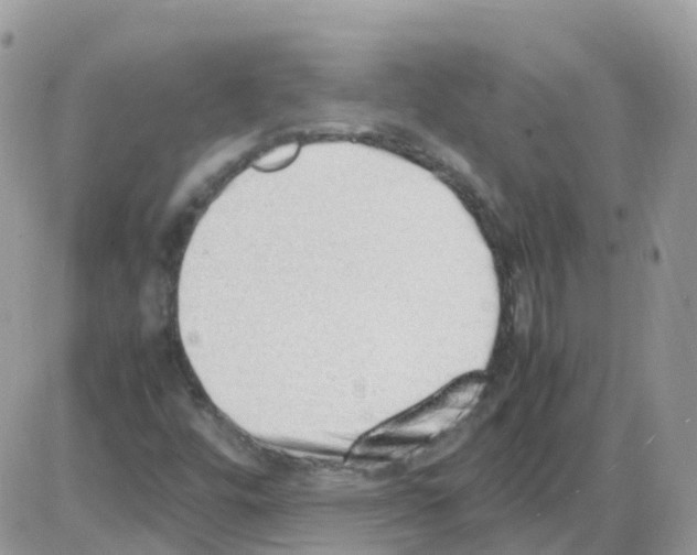 X0000086111448200704202254