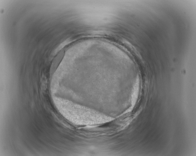 X0000086111449200704202254