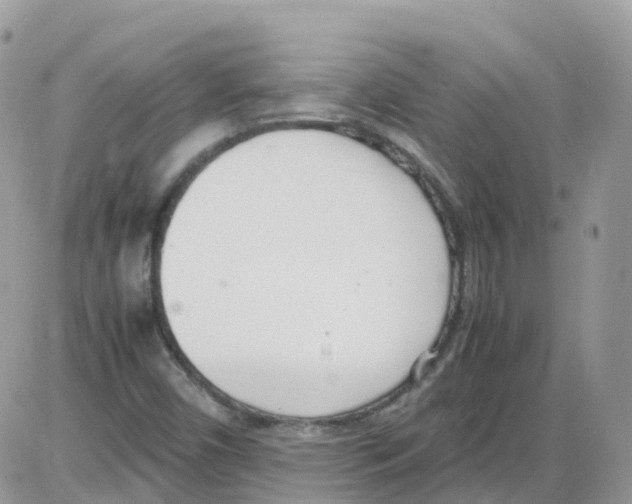 X0000086111450200704202254