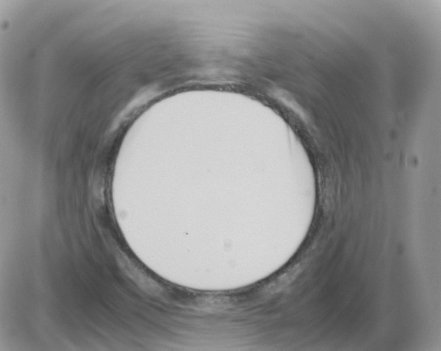 X0000086111451200704202254