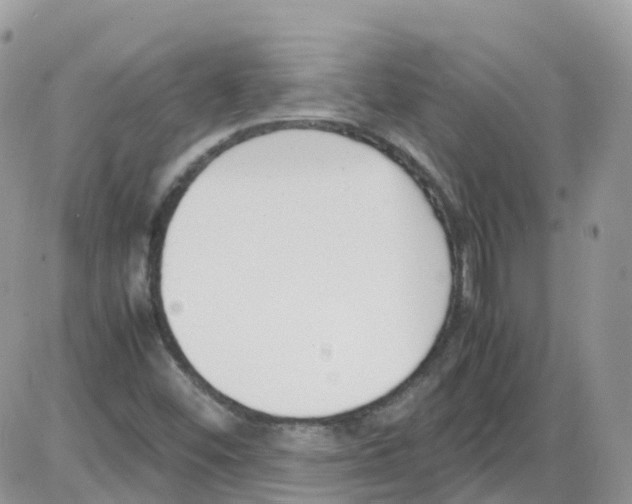 X0000086111452200704202254