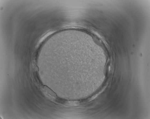 X0000086111453200704202254