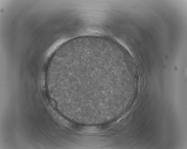 X0000086111455200704202254