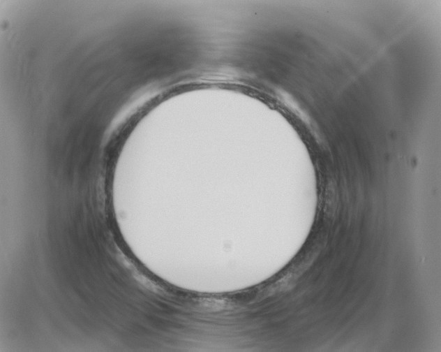 X0000086111456200704202254