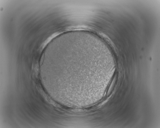 X0000086111457200704202254