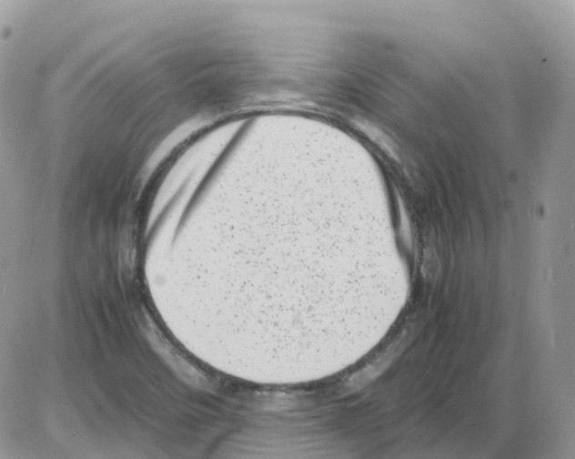 X0000086111458200704202254