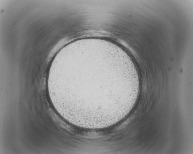 X0000086111459200704202254