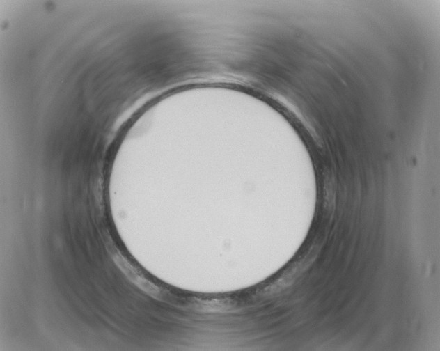 X0000086111460200704202254