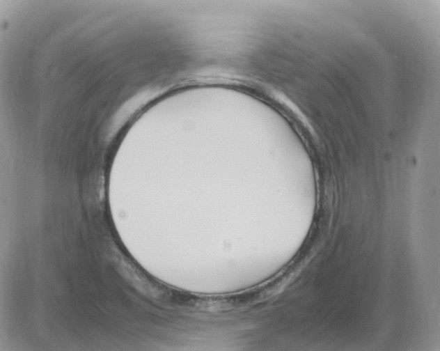 X0000086111461200704202254