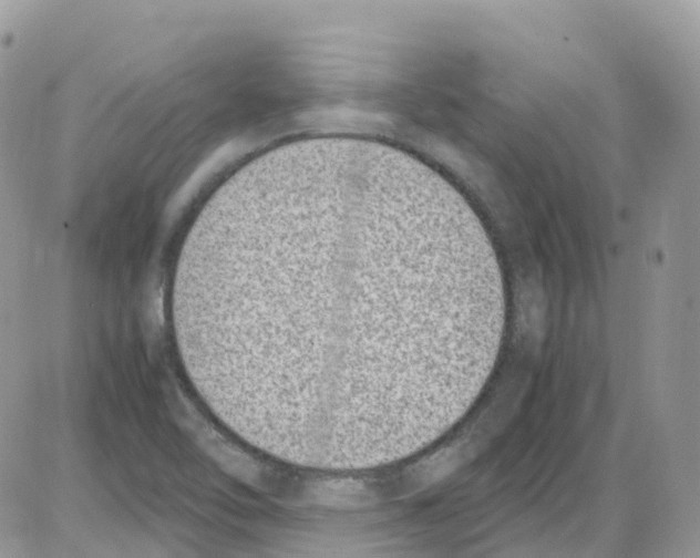 X0000086111462200704202254