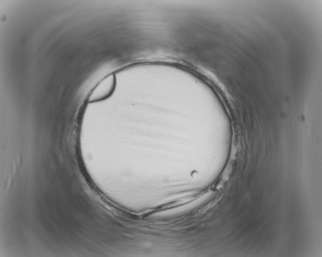 X0000086111463200704202254