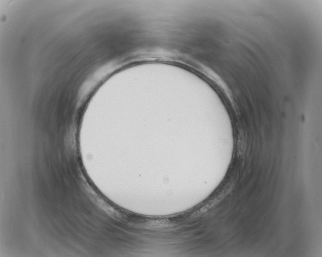 X0000086111464200704202254