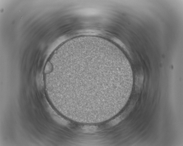 X0000086111466200704202254