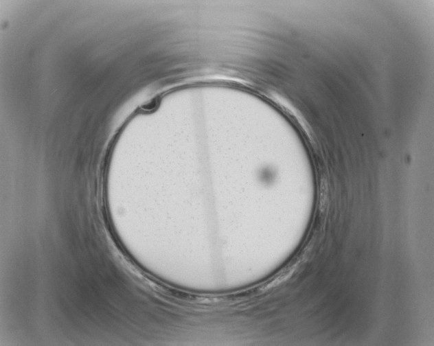 X0000086111467200704202254