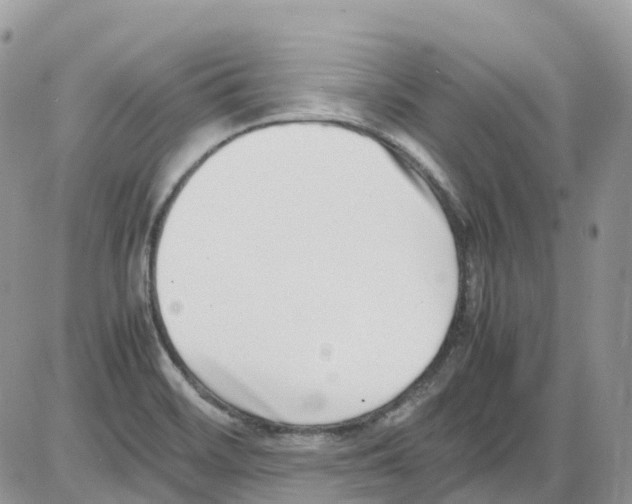 X0000086111468200704202254