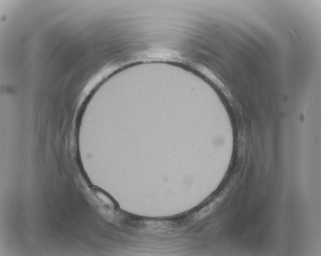 X0000086111469200704202254