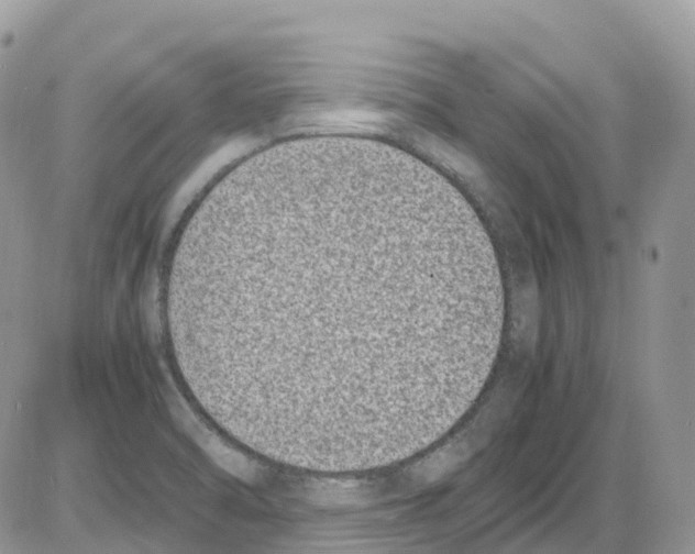 X0000086111470200704202253