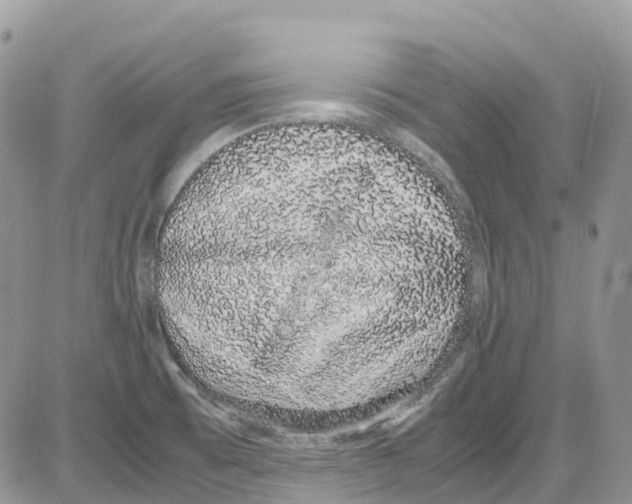 X0000086111473200704202253