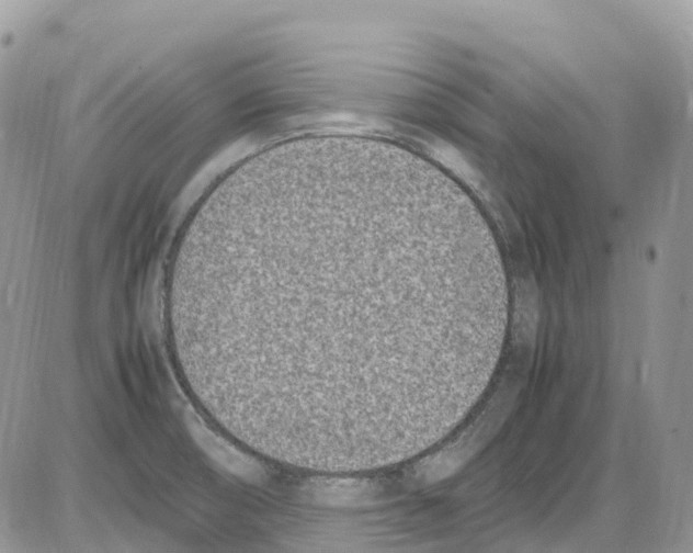 X0000086111474200704202253