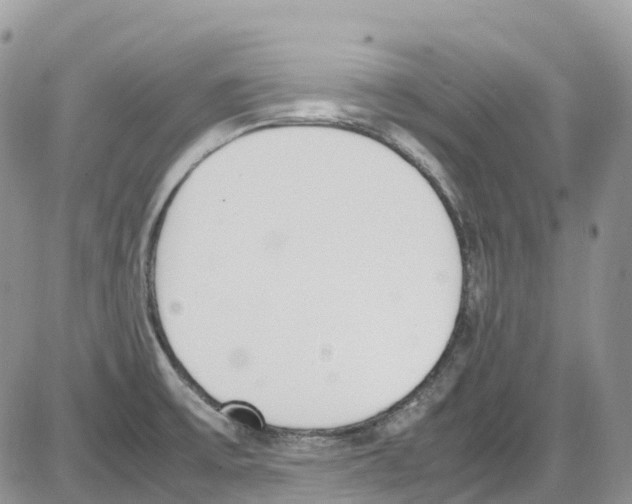 X0000086111475200704202253