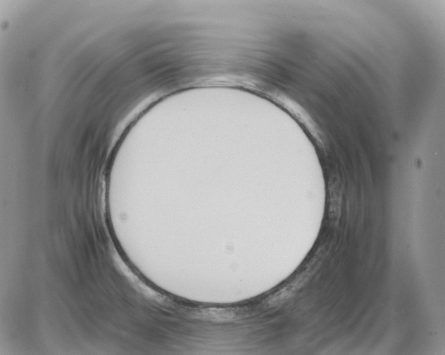 X0000086111476200704202253