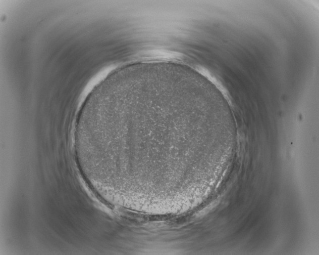 X0000086111477200704202253