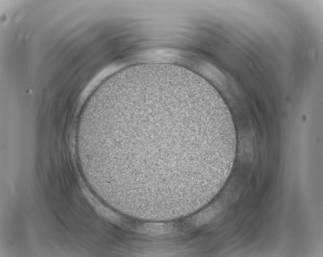 X0000086111478200704202253