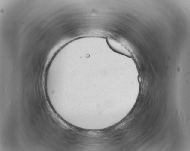 X0000086111480200704202253