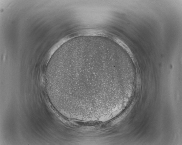 X0000086111481200704202253