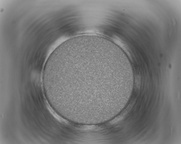 X0000086111482200704202253