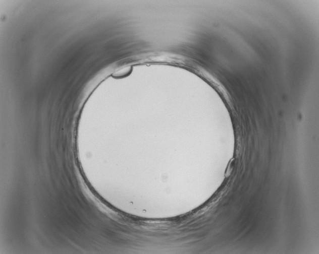 X0000086111483200704202253