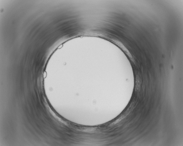 X0000086111484200704202253