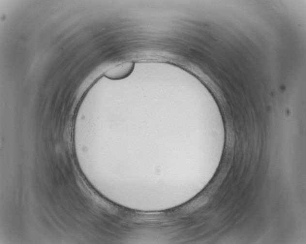 X0000086111486200704202253