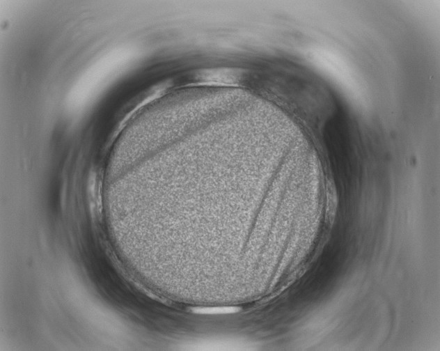 X0000086111487200704202253