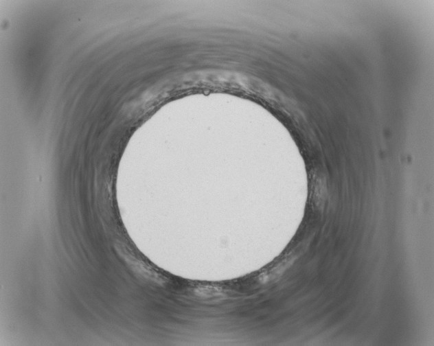 X0000086111489200704202252