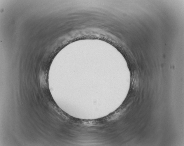 X0000086111490200704202252