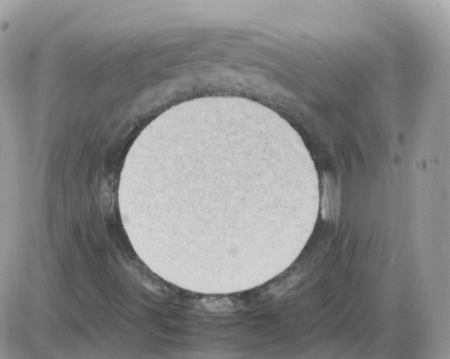 X0000086111491200704202252