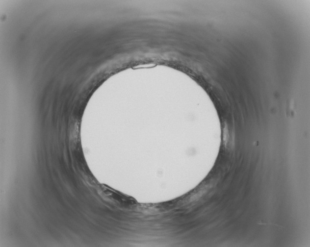 X0000086111492200704202252