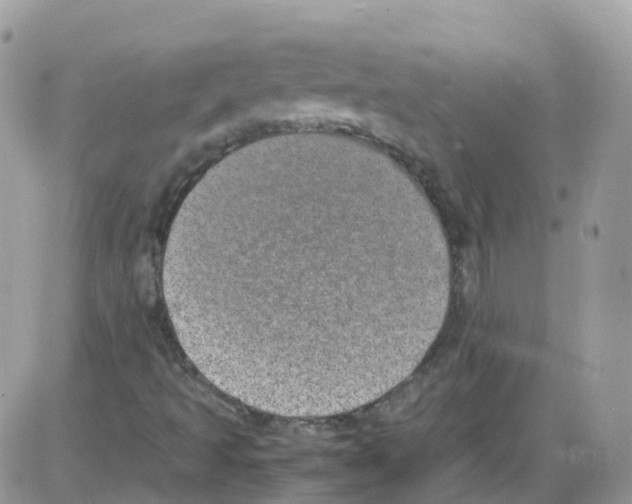 X0000086111493200704202252